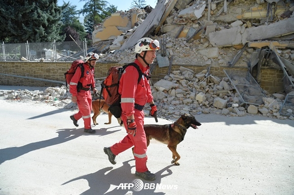 伊지진 사흘째 여진 500여 차례 발생… 사망자 267명으로 증가
