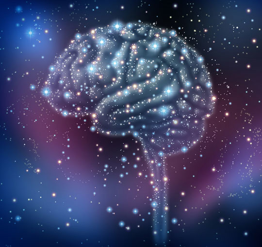 [쿡기자의 건강톡톡] 뇌 건강을 지키는 ‘뇌 건강검진’