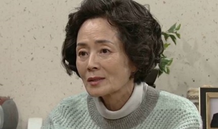 故 김영애 소속사 “사인 췌장암 합병증… 명복 빌어주길 바란다”