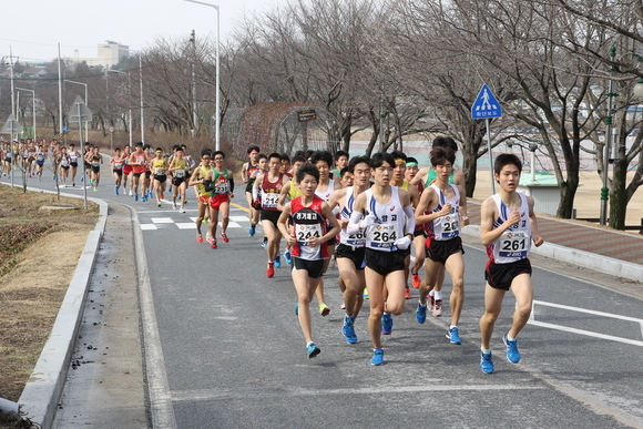 예천군, 제2회 예천 마스터즈 5km 단축 마라톤 개최