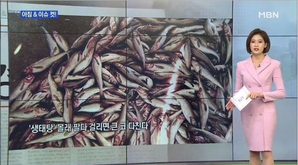 “국내산 생태탕 판매 금지”…최고 2년 이하 징역·2천만원 이하 벌금
