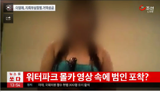 사진=TV 조선 캡쳐