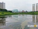 7월 마지막 주말 전북 동부내륙에 '소나기'...낮 기온 최고 32도