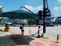 [쿠키 줌 업] 