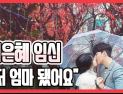 [쿠키영상] 노지훈과 결혼 이은혜, 깜짝 임신 발표 