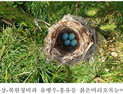 문 닫힌 궁궐‧왕릉의 동물들…직원들 직접 촬영 사진‧영상 공개