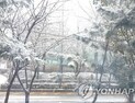 서울 전역 비롯 전국 곳곳 많은 눈… 최대 7㎝ 쌓인다 