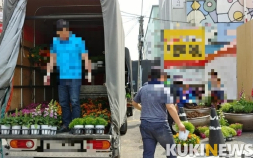 "코로나19보다 무서운 화훼 배송물류업체"