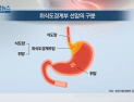 [쿠키건강뉴스] 위·식도 경계암 특성 규명…“치료법 진전 기대”