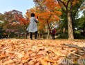 [날씨] 전국 대체로 맑음, 일교차 조심