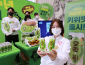 50돌 맞은 오란씨, 새로운 맛 ‘오란씨 키위’ 출시