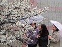 [오늘 날씨] 전국서 봄비 ‘우산 챙기세요’