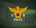 강릉 왕산면 벌목 작업 중 60대 작업자 사망