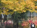 [오늘 날씨] 연휴 끝난 목요일, ‘일교차 커요’