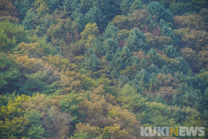  [드론으로 본 풍경] 삼악산 가을에 물들다