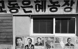 라떼기자의 now & then [3회]  실향민이 두고 간 풍경, 강화 교동도 ‘대룡시장’