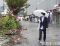 전국 곳곳 비 와요… 강원·제주는 눈