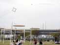 블랙이글스에 놀란 새... 황급히 날갯짓 