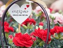 '감사하고 사랑합니다' 오늘은 어버이날 