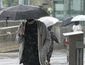 다시 장마 시작… 수도권 250㎜ 이상 내린다
