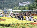 약초 꽃향기 느끼며 '산청엑스포 약초테마공원' [포토뉴스]