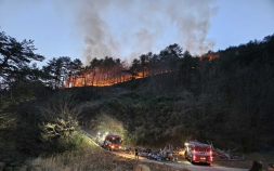 삼척 원덕서 산불…야간 진화 중