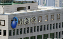 [단독] 금감원, 코인원 ‘닐리온 사태’ 들여다본다