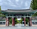 어린이날, 전주동물원 어린이 무료입장