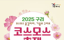 구리 코스모스 축제 오는 26일 개막