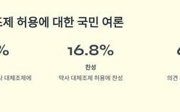 대체조제 두고 엇갈린 의·약…‘같은 성분 다른 약’ 논쟁