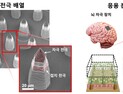 [쿠키과학] '선명한 인공망막 난제 해결'… KIST, 고해상도 인공망막 전극구조 제시