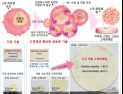 [쿠키과학] KRISS, 전고체전지 생산비 1/10로 낮추는 기술 개발