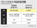 카드사, 자금 조달 다각화에 분주…외채 발행 검토도 확대