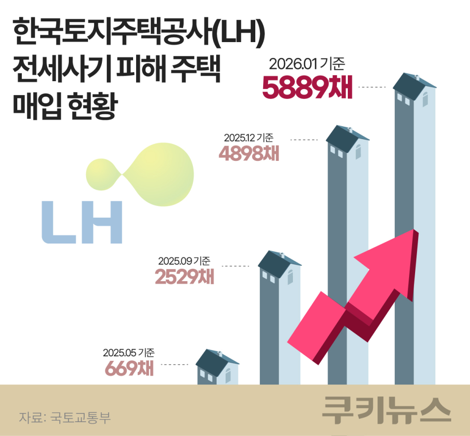 한국토지주택공사(LH) 전세사기 피해주택 매입 현황. 그래픽=한지영 디자이너