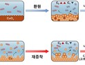 [쿠키과학] KAIST, CO₂ 전환 촉매 성능 저하 원인 규명