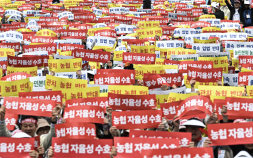 농협법 개정안에 들끓는 현장…2만 조합원 여의도 집결 [쿠키포토]