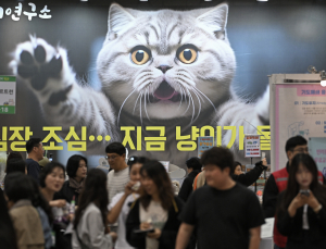 고양이 집사들 모여라…‘2026 냥냥펀치 캣쇼 일산’ 개막 [쿠키포토]