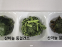 고성군, 건조 산마늘 제품 개발…농가 소득 증대 기대