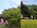 천안시 ‘역사: 선비Road’ 모바일 스탬프투어