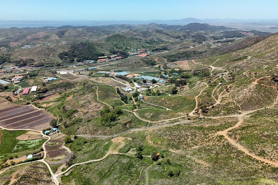 2023년 4월 산불이 발생한 충남 홍성군 서부면 피해지역 복원. 산림청