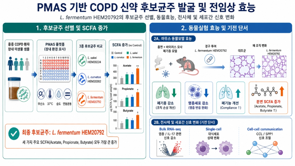 HEM파마 COPD 생균치료제 후보 균주 ‘HEM20792’ 전임상 효능 그래픽. HEM파마 제공