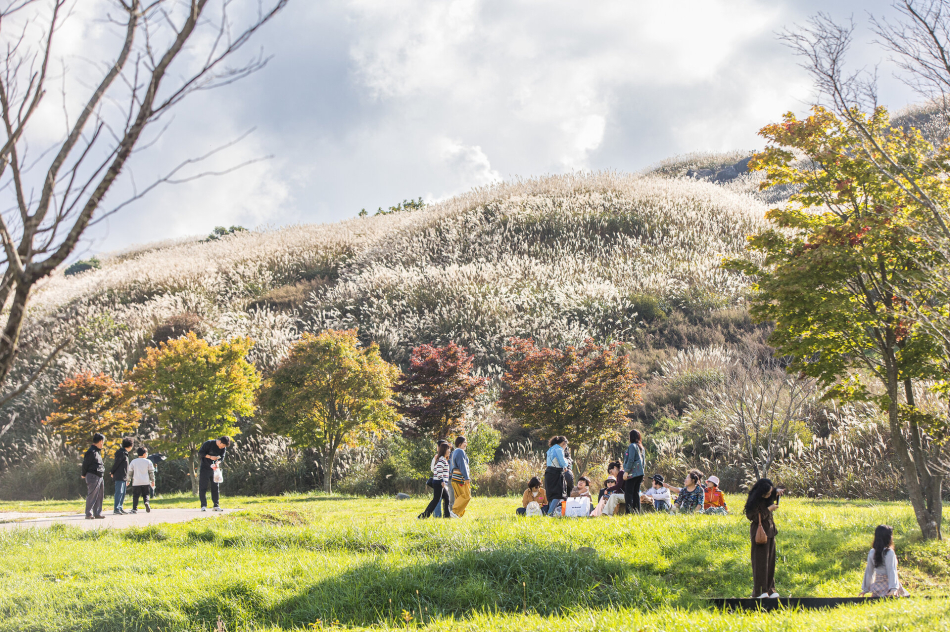 황매산 억새축제