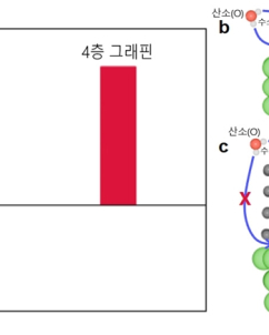 “그래핀은 본래 소수성”… IBS, 10년 논쟁 종지부