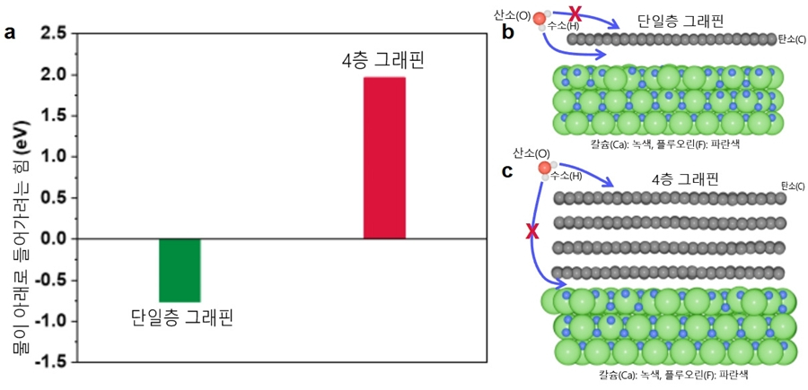 단일층 그래핀과 다층 그래핀에서의 물 침투 차이. a) 물 분자 하나가 그래핀 아래로 침투할 때 필요한 에너지 비용을 나타낸 그래프. 단일층 그래핀에서는 에너지 값이 음수로 나타나 물이 자연스럽게 그래핀 아래로 들어갈 수 있지만, 4층 그래핀에서는 큰 양의 에너지가 필요해 침투가 매우 어려워진다. b) 단일층 그래프에서는 물 분자가 그래핀 위보다 그래핀과 친수성 표면 사이의 좁은 틈으로 들어가는 것이 더 유리함을 나타낸 모식도. c) 그래핀이 4층으로 쌓이면 그래핀 아래 공간으로의 물 분자 침투가 사실상 차단되어, 물 분자가 표면 위에 머무르게 됨을 보여주는 모식도. IBS