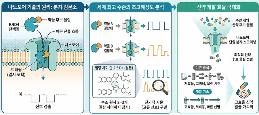 원자 수준 고해상도로 단백질-약물 결합 판별하는 나노포어 센서 개발. YaxAB 나노포어의 비대칭 구조와 염화리튬(LiCl) 전해질을 이용해 전기적 위치 에너지를 조절함으로써, 표적 단백질인 BRD4와 약물 결합체 간의 미세한 동역학 변화를 고유한 전기적 신호 지문으로 변환하여, 단 2.5 Da 수준의 원자 단위 질량 차이까지 라벨 없이 식별한다. 한국생명공학연구원