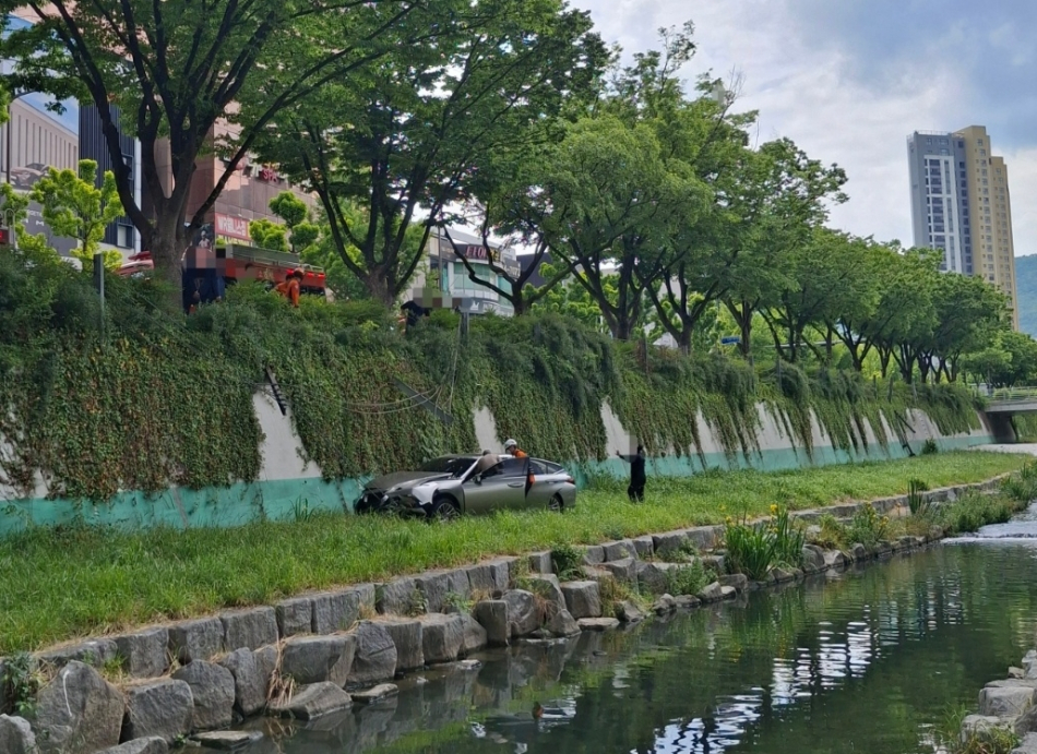 대구 수성구 지산동 동대구로 황금네거리 인근에서 승용차가 하천 둔치로 추락해 2명이 병원으로 이송됐다. 대구소방안전본부 제공