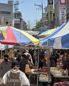 평택 “정당보다 ‘능력’”…李 후광, 조국 부상에 샤이 보수까지