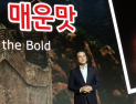 425억개 팔린 辛라면…40년간 끓인 매운맛으로 ‘20조 신화’ [현장+]
