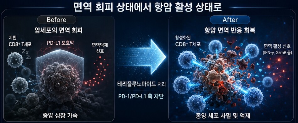 면역관문 조절 기전. 한국한의학연구원
