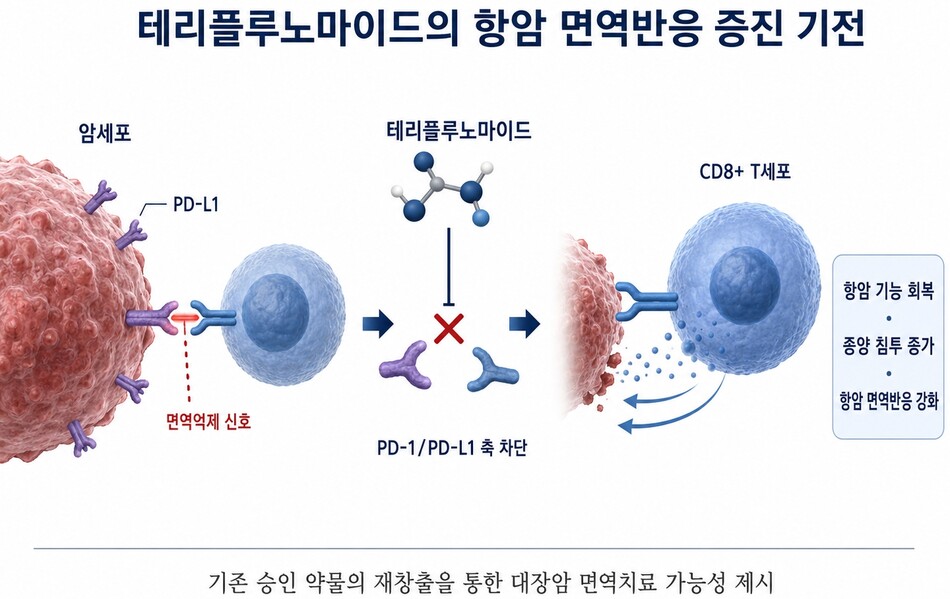 면역관문 조절 기전. 한국한의학연구원